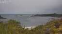 ./images/calvert/foggy-cove/20250616/foggy-cove20250616_100012M.jpg