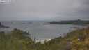 ./images/calvert/foggy-cove/20250616/foggy-cove20250616_102509M.jpg