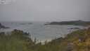 ./images/calvert/foggy-cove/20250616/foggy-cove20250616_110511M.jpg