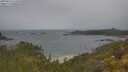 ./images/calvert/foggy-cove/20250616/foggy-cove20250616_111010M.jpg