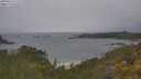 ./images/calvert/foggy-cove/20250616/foggy-cove20250616_111509M.jpg