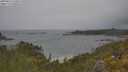 ./images/calvert/foggy-cove/20250616/foggy-cove20250616_120012M.jpg