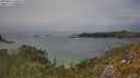 ./images/calvert/foggy-cove/20250616/foggy-cove20250616_150510M.jpg