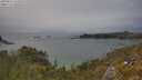 ./images/calvert/foggy-cove/20250616/foggy-cove20250616_151010M.jpg