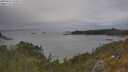 ./images/calvert/foggy-cove/20250616/foggy-cove20250616_153509M.jpg