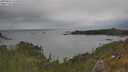 ./images/calvert/foggy-cove/20250616/foggy-cove20250616_161010M.jpg