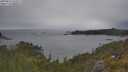 ./images/calvert/foggy-cove/20250616/foggy-cove20250616_163507M.jpg