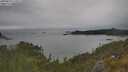./images/calvert/foggy-cove/20250616/foggy-cove20250616_172011M.jpg