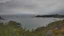 ./images/calvert/foggy-cove/20250616/foggy-cove20250616_172509M.jpg