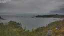 ./images/calvert/foggy-cove/20250616/foggy-cove20250616_175011M.jpg