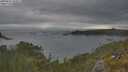 ./images/calvert/foggy-cove/20250616/foggy-cove20250616_185011M.jpg