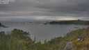 ./images/calvert/foggy-cove/20250616/foggy-cove20250616_185509M.jpg