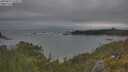 ./images/calvert/foggy-cove/20250616/foggy-cove20250616_192009M.jpg