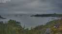 ./images/calvert/foggy-cove/20250616/foggy-cove20250616_215009M.jpg
