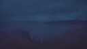 ./images/calvert/foggy-cove/20250618/foggy-cove20250618_042509M.jpg