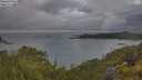 ./images/calvert/foggy-cove/20250618/foggy-cove20250618_054509M.jpg