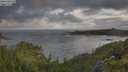 ./images/calvert/foggy-cove/20250618/foggy-cove20250618_064009M.jpg