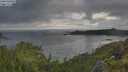 ./images/calvert/foggy-cove/20250618/foggy-cove20250618_064508M.jpg