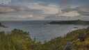 ./images/calvert/foggy-cove/20250618/foggy-cove20250618_072012M.jpg