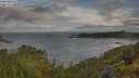 ./images/calvert/foggy-cove/20250618/foggy-cove20250618_072510M.jpg