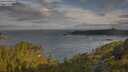 ./images/calvert/foggy-cove/20250618/foggy-cove20250618_073009M.jpg