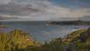 ./images/calvert/foggy-cove/20250618/foggy-cove20250618_073508M.jpg