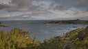 ./images/calvert/foggy-cove/20250618/foggy-cove20250618_075011M.jpg