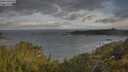 ./images/calvert/foggy-cove/20250618/foggy-cove20250618_080011M.jpg
