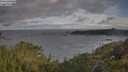 ./images/calvert/foggy-cove/20250618/foggy-cove20250618_080509M.jpg