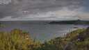 ./images/calvert/foggy-cove/20250618/foggy-cove20250618_081010M.jpg