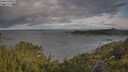 ./images/calvert/foggy-cove/20250618/foggy-cove20250618_081509M.jpg