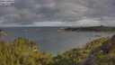./images/calvert/foggy-cove/20250618/foggy-cove20250618_082510M.jpg