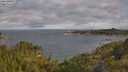 ./images/calvert/foggy-cove/20250618/foggy-cove20250618_083009M.jpg
