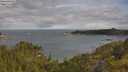 ./images/calvert/foggy-cove/20250618/foggy-cove20250618_083509M.jpg