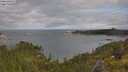 ./images/calvert/foggy-cove/20250618/foggy-cove20250618_084009M.jpg