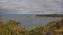 ./images/calvert/foggy-cove/20250618/foggy-cove20250618_085010M.jpg