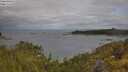 ./images/calvert/foggy-cove/20250618/foggy-cove20250618_085509M.jpg