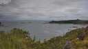 ./images/calvert/foggy-cove/20250618/foggy-cove20250618_090012M.jpg