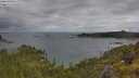 ./images/calvert/foggy-cove/20250618/foggy-cove20250618_090510M.jpg
