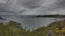 ./images/calvert/foggy-cove/20250618/foggy-cove20250618_091511M.jpg
