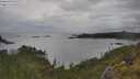 ./images/calvert/foggy-cove/20250618/foggy-cove20250618_094510M.jpg