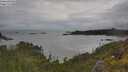./images/calvert/foggy-cove/20250618/foggy-cove20250618_095508M.jpg