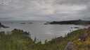 ./images/calvert/foggy-cove/20250618/foggy-cove20250618_100011M.jpg
