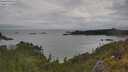 ./images/calvert/foggy-cove/20250618/foggy-cove20250618_101010M.jpg