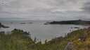 ./images/calvert/foggy-cove/20250618/foggy-cove20250618_101509M.jpg