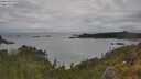 ./images/calvert/foggy-cove/20250618/foggy-cove20250618_102010M.jpg