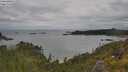 ./images/calvert/foggy-cove/20250618/foggy-cove20250618_102510M.jpg