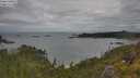 ./images/calvert/foggy-cove/20250618/foggy-cove20250618_103011M.jpg
