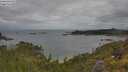 ./images/calvert/foggy-cove/20250618/foggy-cove20250618_103509M.jpg