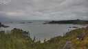./images/calvert/foggy-cove/20250618/foggy-cove20250618_104509M.jpg
